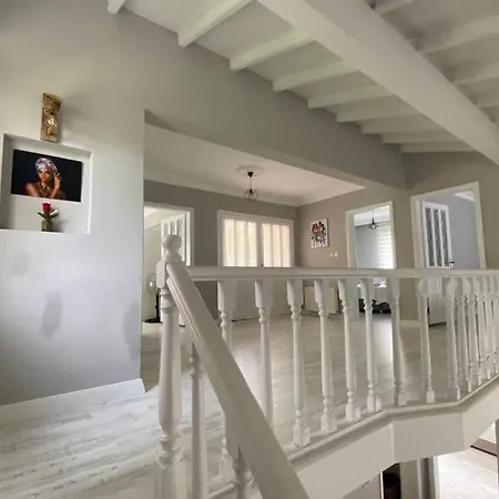 Sapanca Mansion House Villa