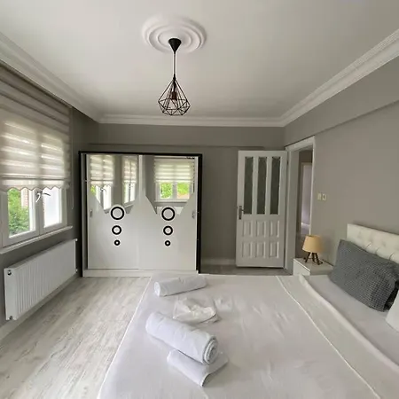 Sapanca Mansion House Villa *